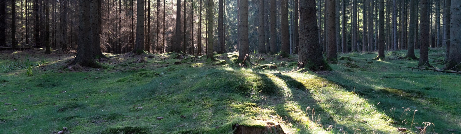 Åstorp Turistförening